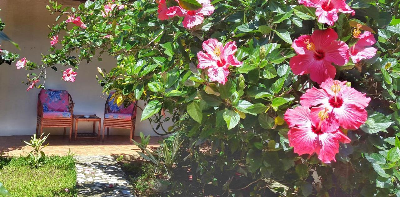 Bed and Breakfast Vida Tropical Алахуэла Экстерьер фото