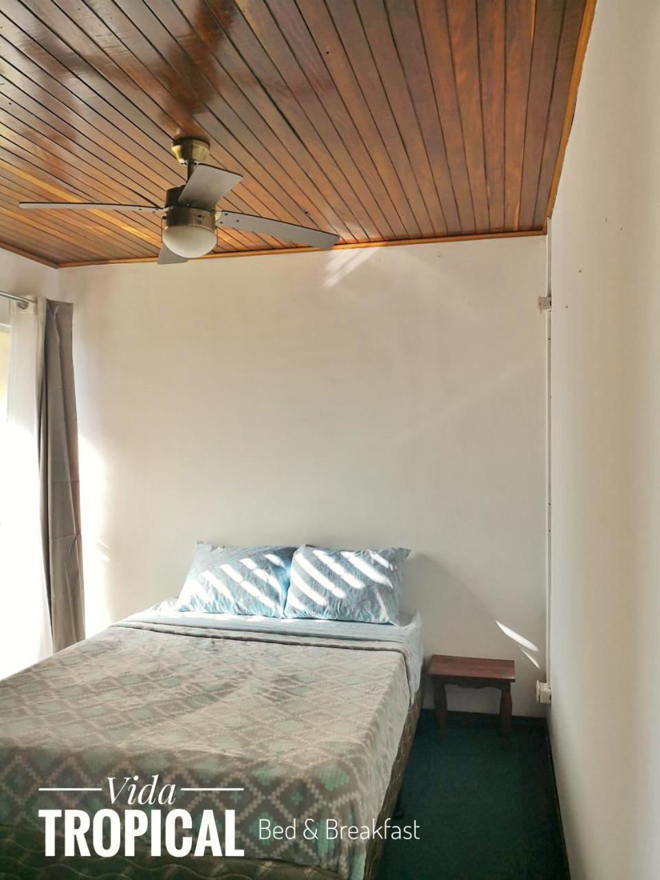 Bed and Breakfast Vida Tropical Алахуэла Экстерьер фото