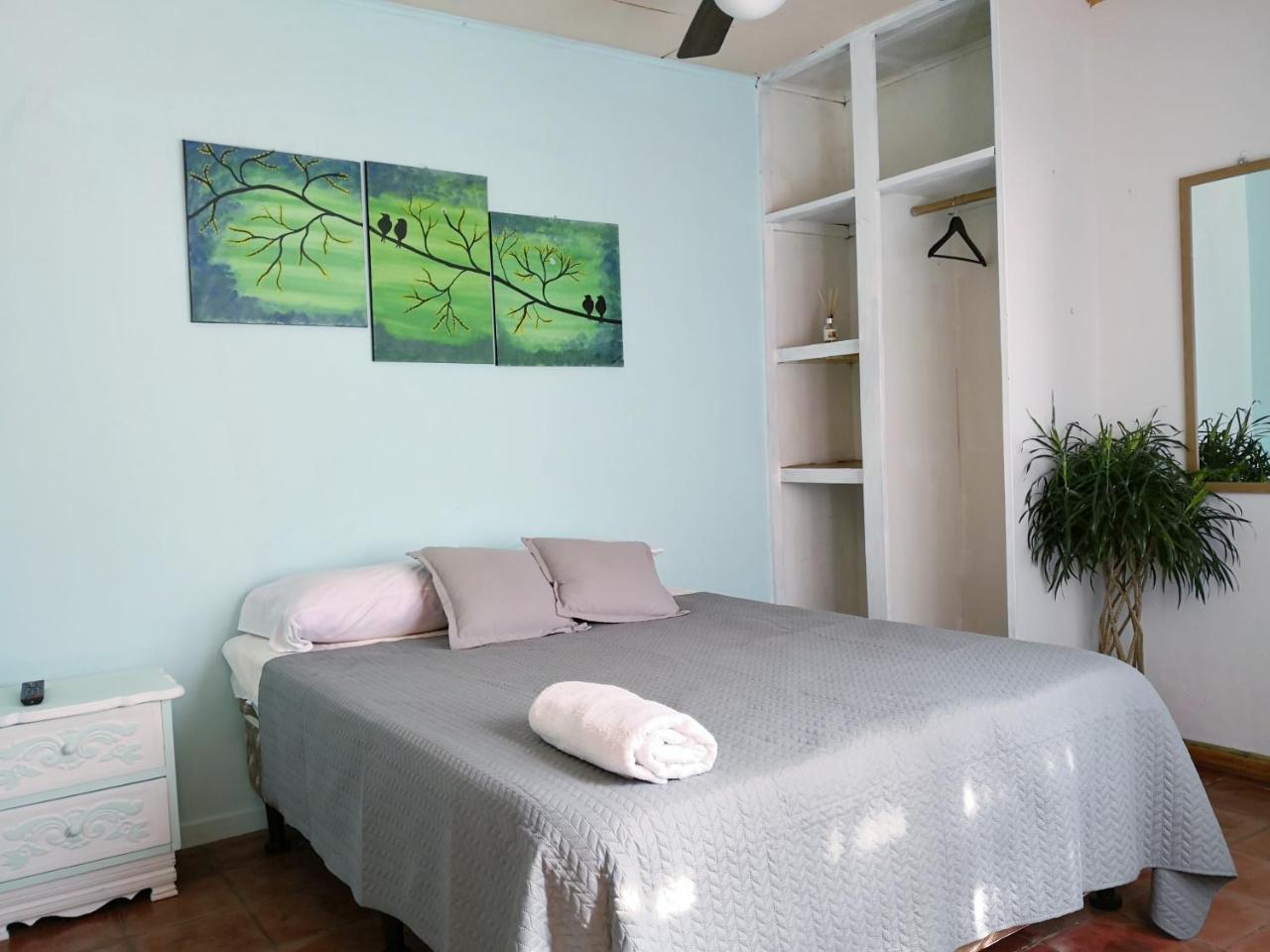 Bed and Breakfast Vida Tropical Алахуэла Экстерьер фото